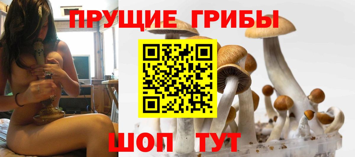 Заволжье  Галлюциногенные грибы MAGIC MUSHROOMS  закладки  Вход с VPN 